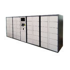 Automatic Smart electronic locker parcel delivery  rental click and collect  locker  indoor or outdoor
